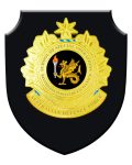 plaque-SSO