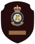 c.o.Bsquadron